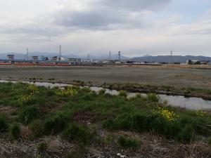二級河川酒匂川河床掘削工事後の画像