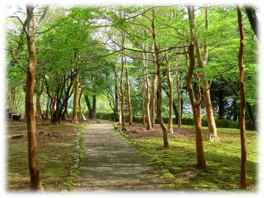 hakone5