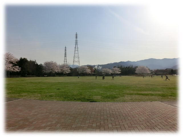 suwanohara5