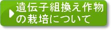遺伝子組換え作物の栽培について
