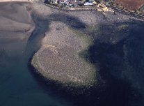 wakaenoshima