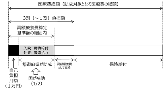 肝がんイメージ1