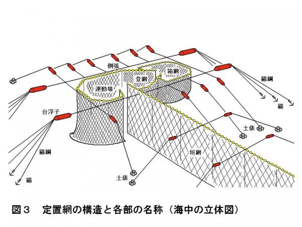 図3　定置網の構造と各部の名称（海中の立体図）