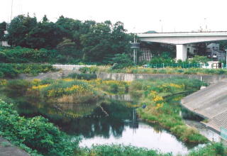 栗原遊水地B池下写真