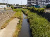 永池川写真