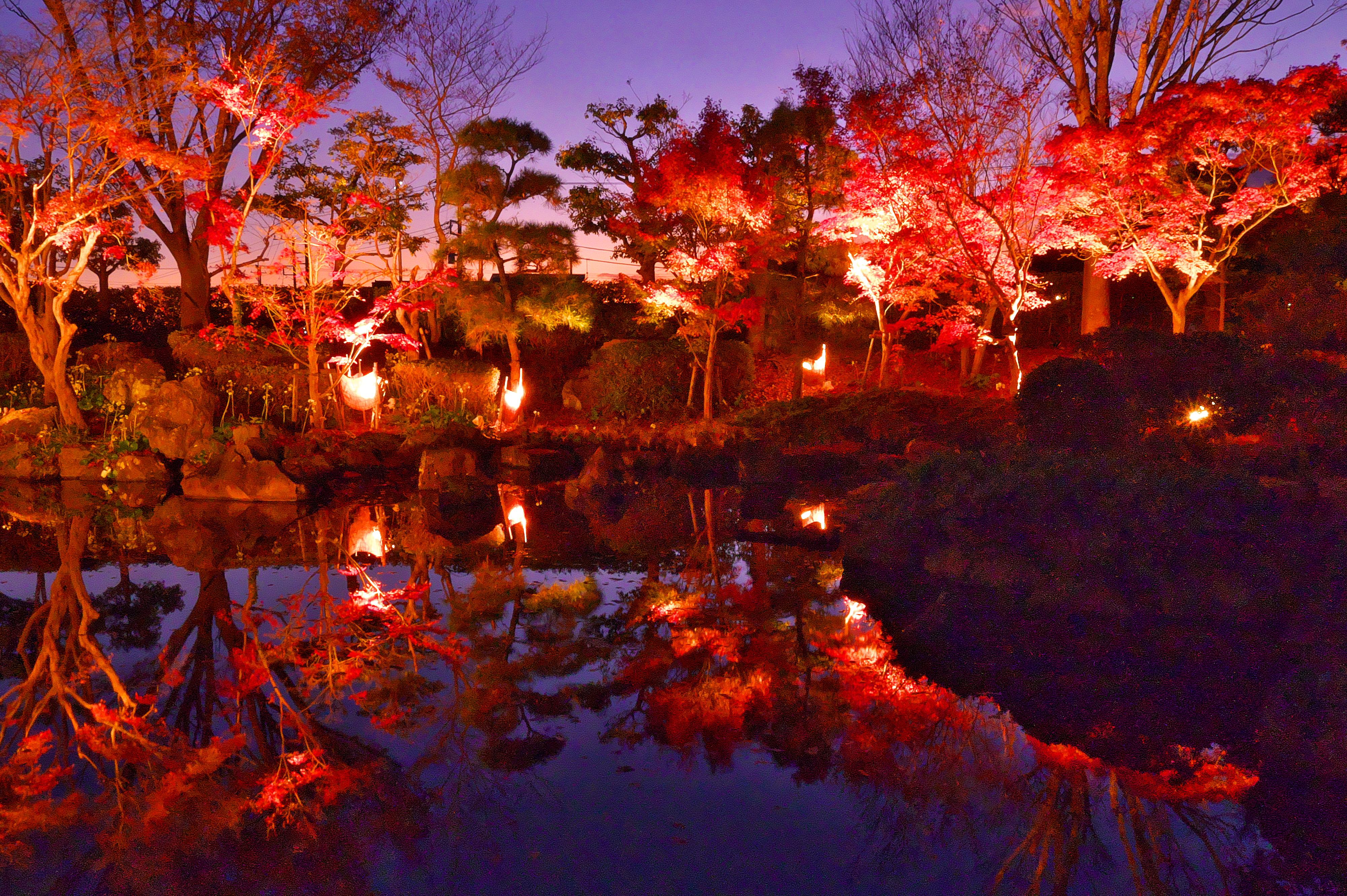 紅葉リフレクション