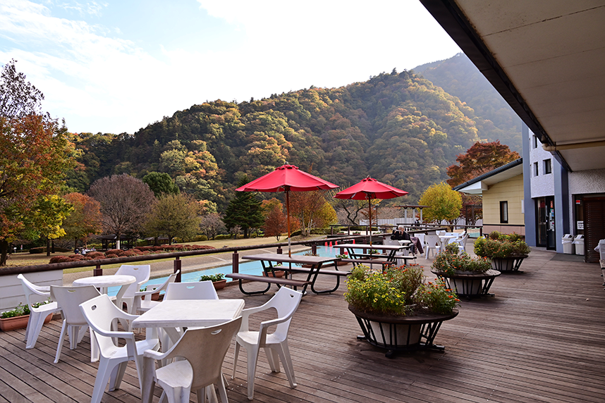 テラスから楽しむ紅葉の風景