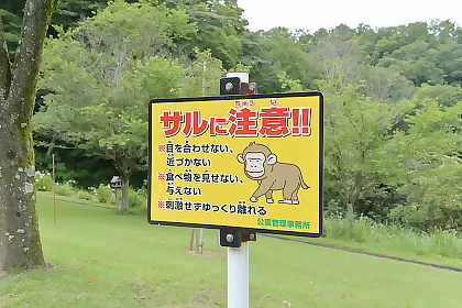 園内の案内