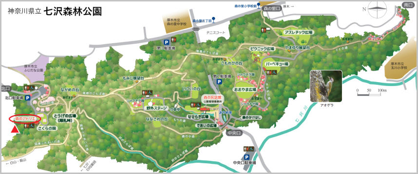七沢森林公園の地図
