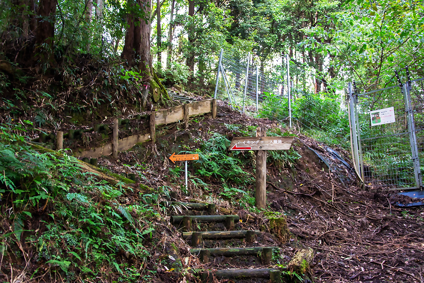 コースを示す木の案内板