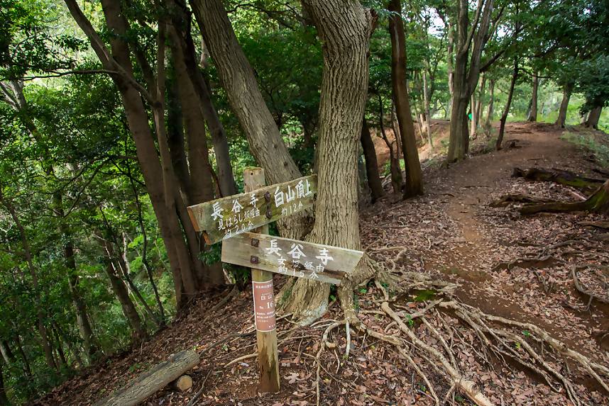 長谷寺と白山頂上方面への分岐点