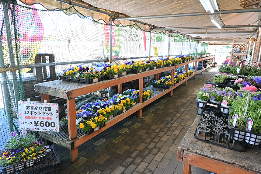 草花の直売コーナー