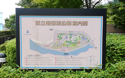 公園内の案内図