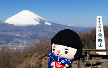 金時山山頂から富士山を望む