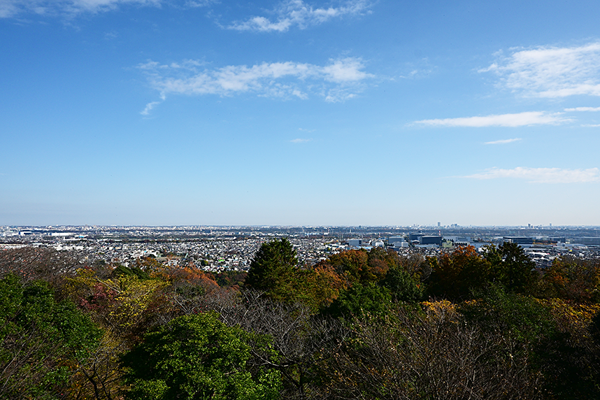 展望台から見た風景