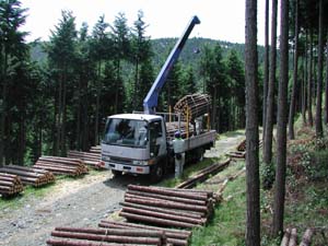 林道を利用した木材搬出