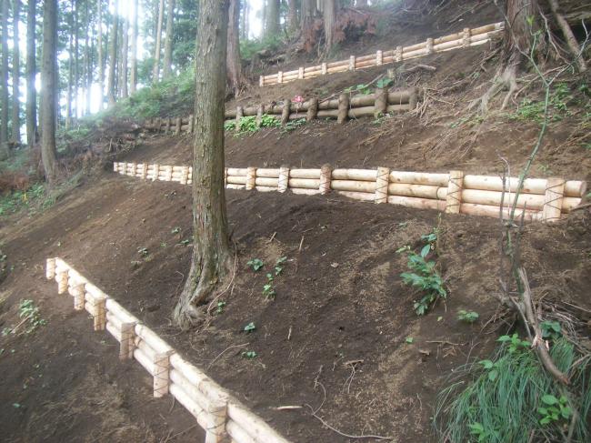 雨水が集中して土が流されることを防ぐ、丸太筋工が設置された斜面の様子