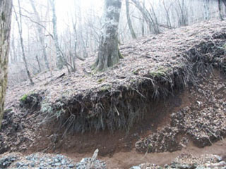 渓岸の侵食が拡大