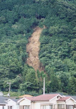 崩壊地の状況