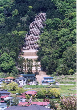 構造物の設置状況