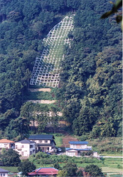 緑化の状況