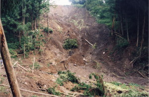 山腹の崩壊状況