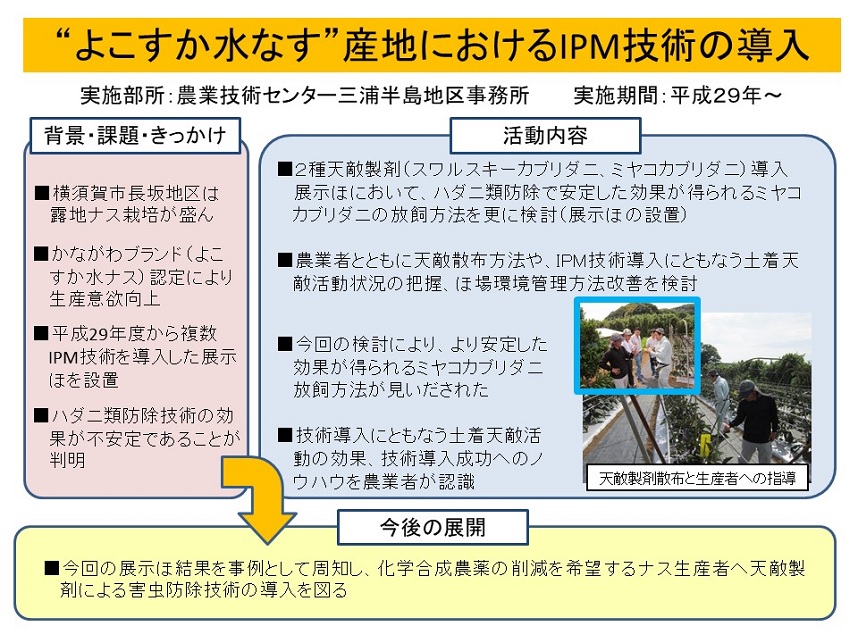 よこすか水なす産地におけるIPM技術の導入