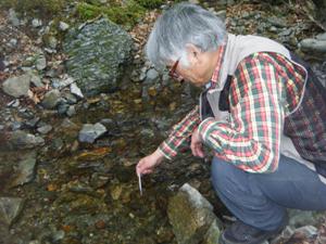 水温測定中の画像