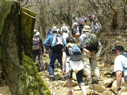 休日の登山道の様子。人気のコースは登山する人、下山する人も多い