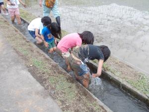 水路で泥を落とす子供たち