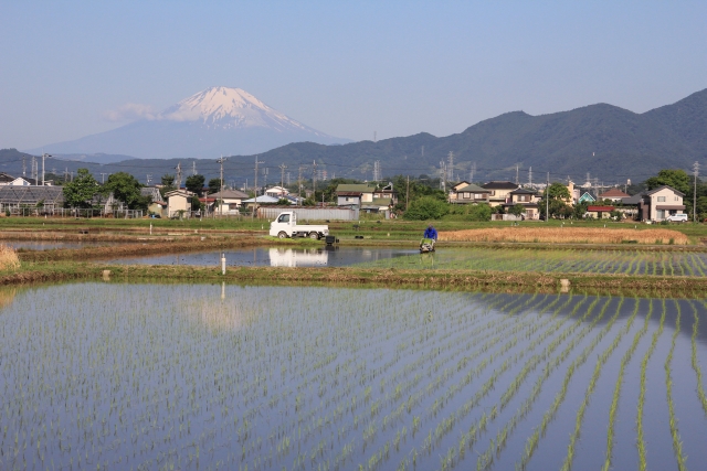 大田地区での田植えの様子後ろには富士山