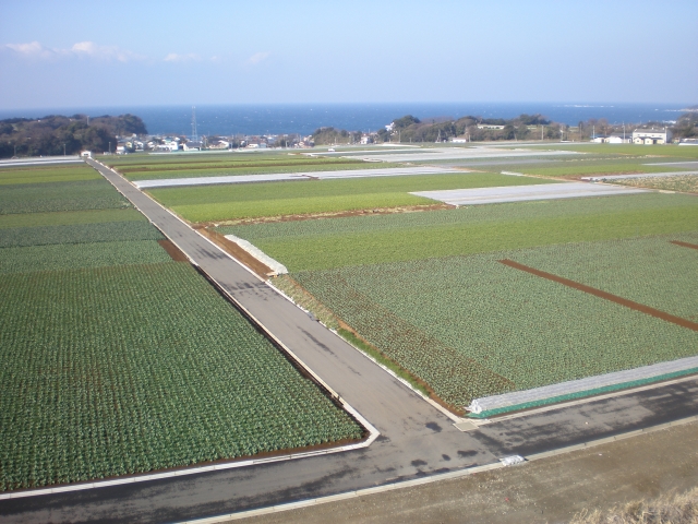 三戸小網代地区の畑