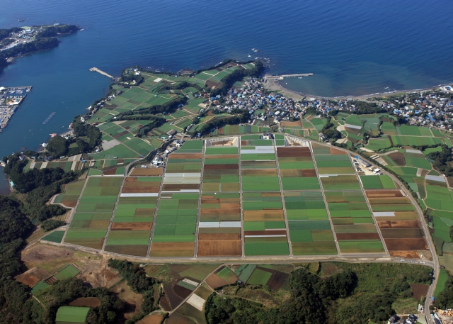 三戸小網代地区の航空写真