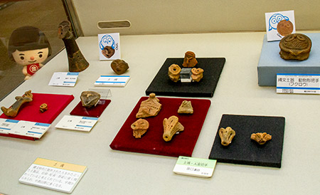 神奈川県埋蔵文化財センターの縄文土器を見つめるキンタロウ