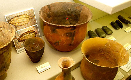 神奈川県埋蔵文化財センター　弥生時代の土器の展示