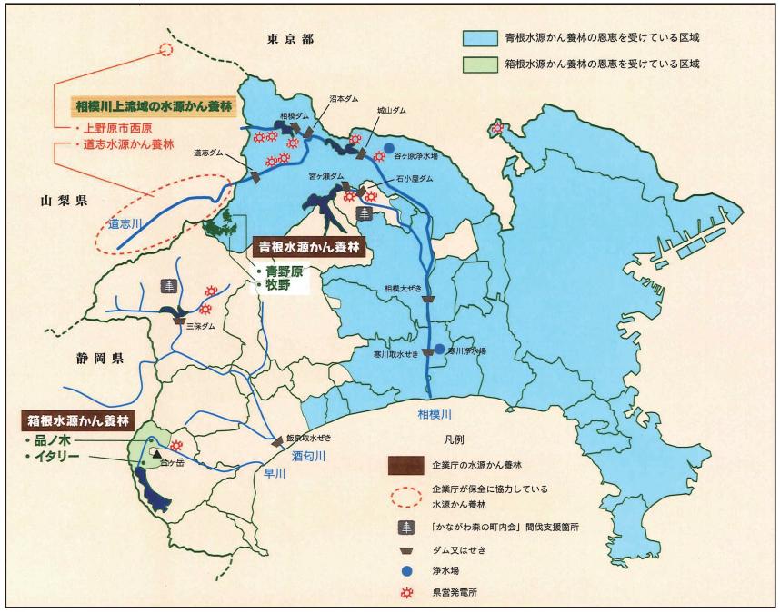 県内地図青根水源かん養林及び箱根水源かん養林の位置を示しています。