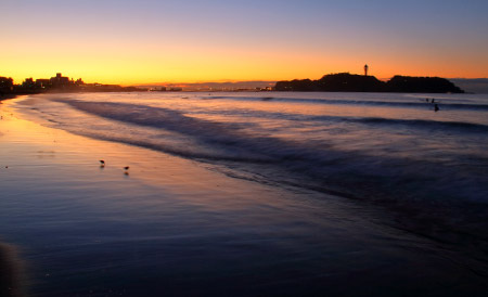 鵠沼海岸の夜明け。波と戯れるミユビシギ