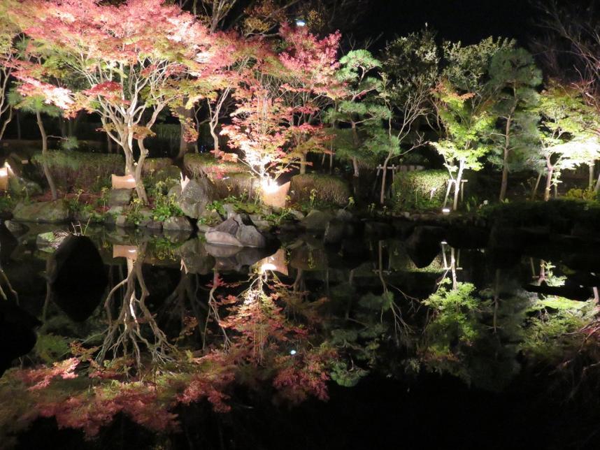 不動池の紅葉の木々