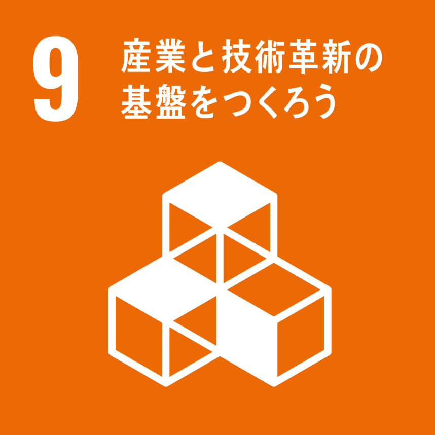 sdg09