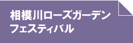 相模川ローズガーデンフェスティバルバナー