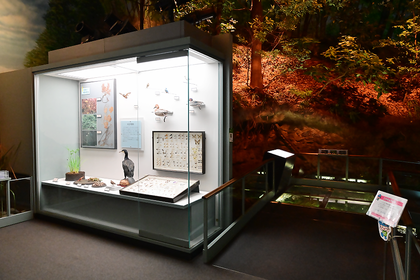 博物館の展示7