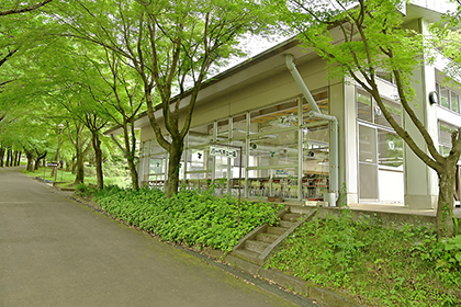 かわせみ棟食堂の様子
