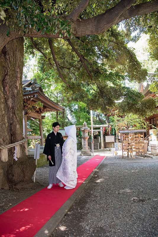 座間神社での結婚式の様子
