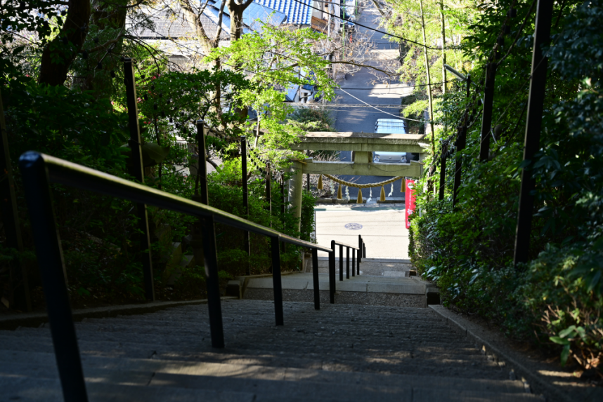 階段上から下を望む風景