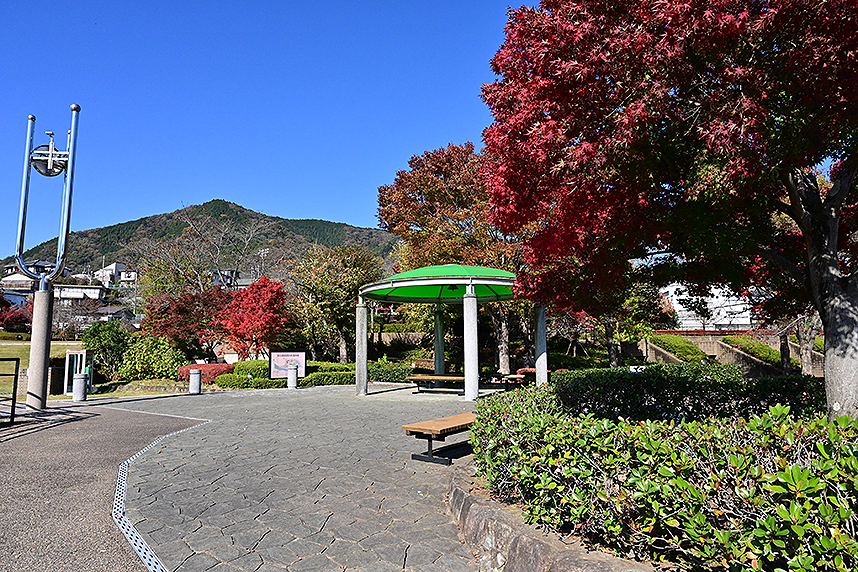 水辺の広場を見下ろす