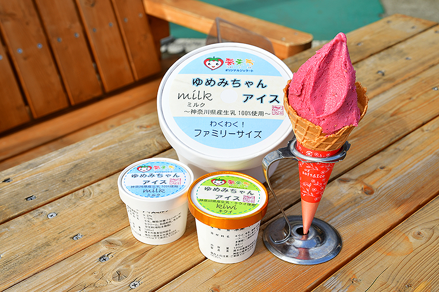 JAあつぎ夢未市_ジェラート