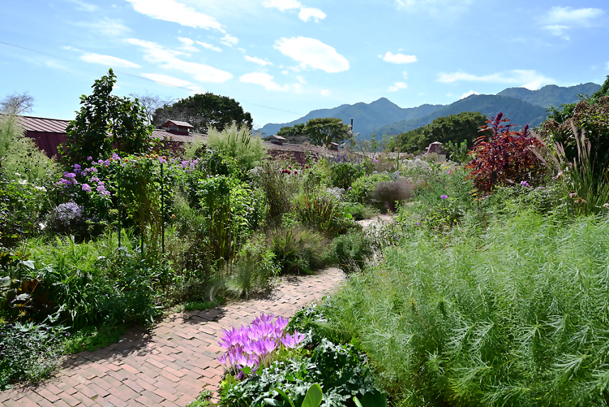 ファームガーデンの景色