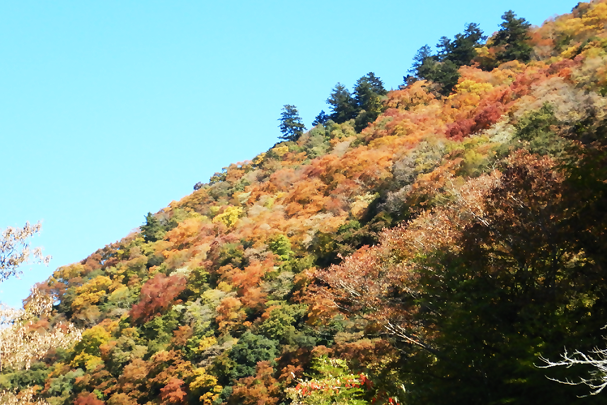 三井大橋からの風景2