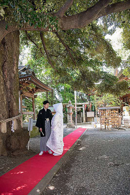 座間神社での結婚式の様子