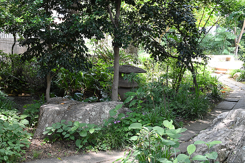 公園内の様子
